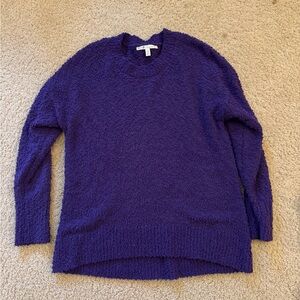 Women's Purple Sweater
